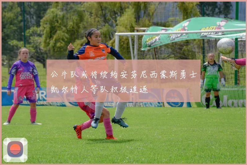 公牛队或将续约安芬尼西蒙斯勇士凯尔特人等队积极追逐